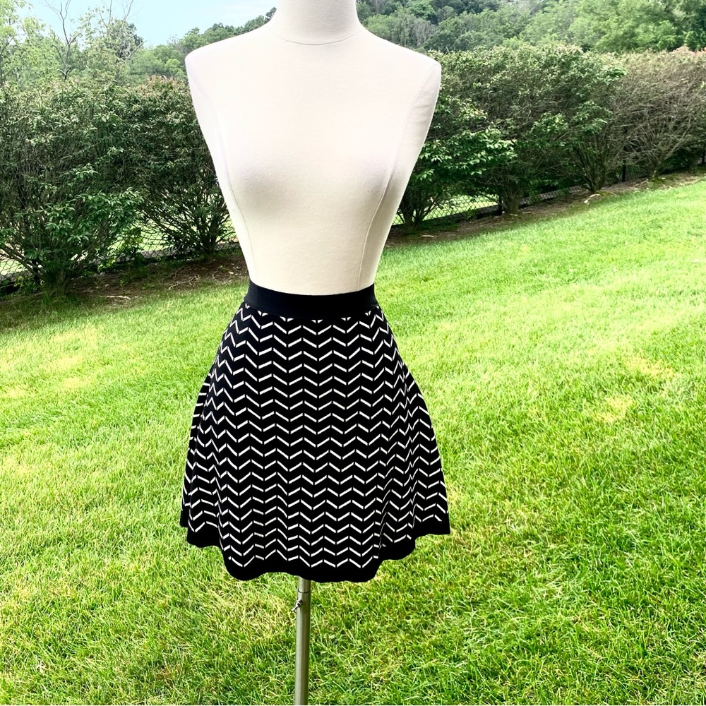 Olive & Oak Knit Skirt - Picture 4 of 14